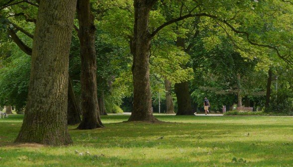 Promoting Strong and Healthy Growth