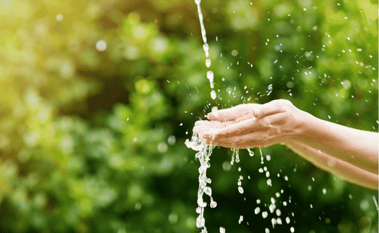 Develop a Water Stewardship Plan